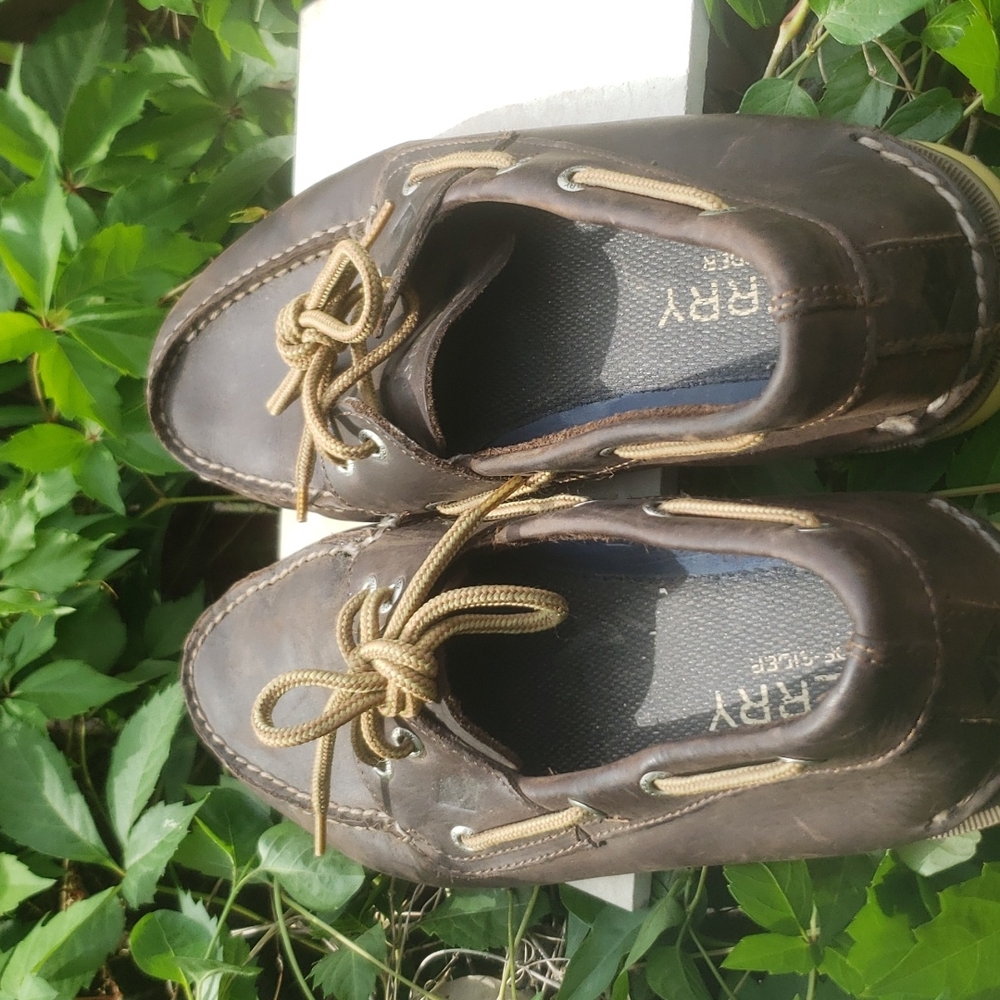 Sperry Causal Mens Shoe